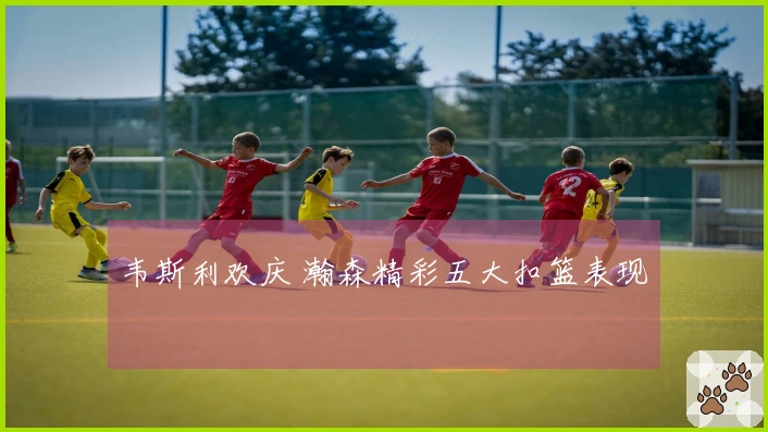 韦斯利欢庆 瀚森精彩五大扣篮表现